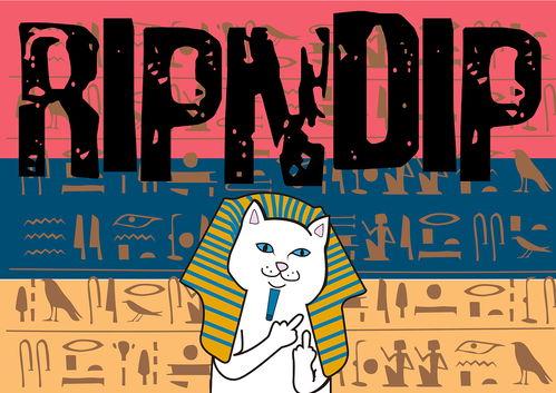 潮牌搞笑壁纸,潮流与幽默的完美碰撞