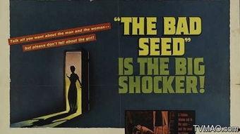 坏种幕后花絮,揭秘幕后制作秘辛与精彩花絮